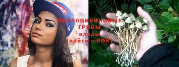 дмт Абдулино