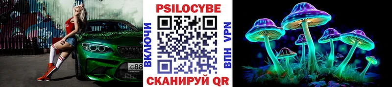 купить наркоту  Горячеводский  Галлюциногенные грибы MAGIC MUSHROOMS 